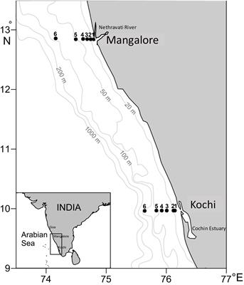 Massive Methane Loss During Seasonal Hypoxia/Anoxia in the Nearshore Waters of Southeastern Arabian Sea